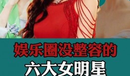 娱乐圈爆料故事大全免费阅读,揭秘爆料故事大全